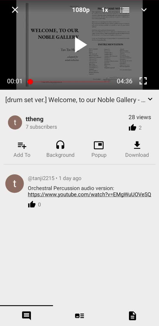 NewPipe 的影片頁面。